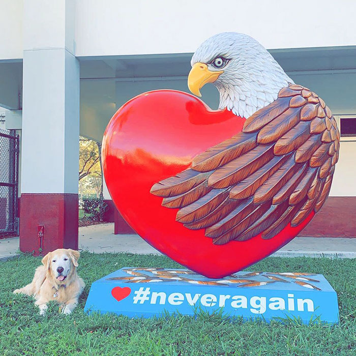 This School Dedicated A Yearbook Page To The Parkland Shooting Survivors&rsquo; Therapy Dogs