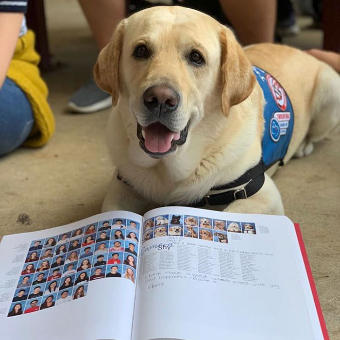 This School Dedicated A Yearbook Page To The Parkland Shooting Survivors’ Therapy Dogs This School Dedicated A Yearbook Page To The Parkland Shooting Survivors’ Therapy Dogs
