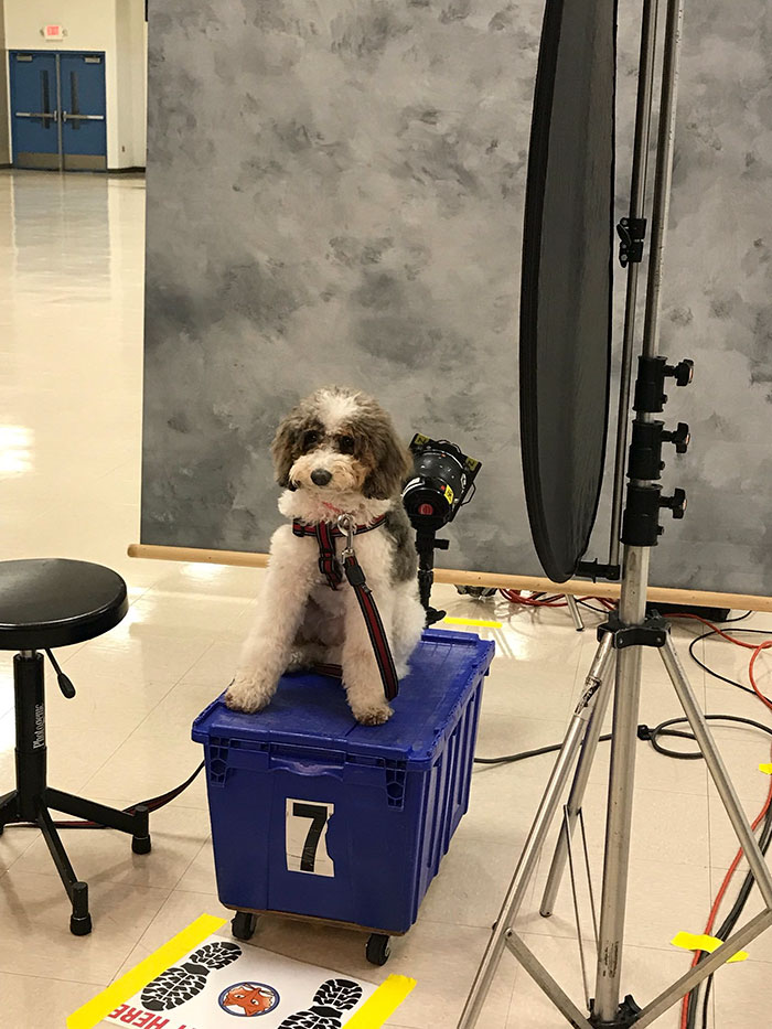 This School Dedicated A Yearbook Page To The Parkland Shooting Survivors&rsquo; Therapy Dogs