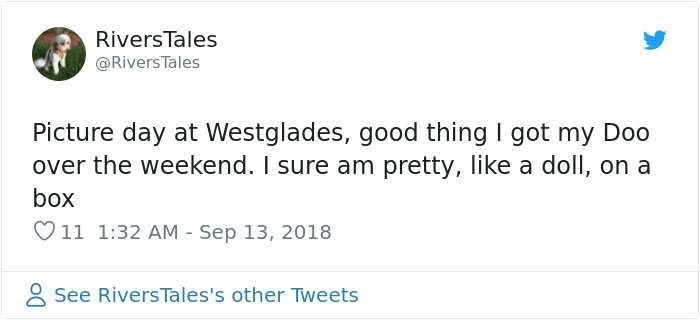 This School Dedicated A Yearbook Page To The Parkland Shooting Survivors’ Therapy Dogs This School Dedicated A Yearbook Page To The Parkland Shooting Survivors’ Therapy Dogs