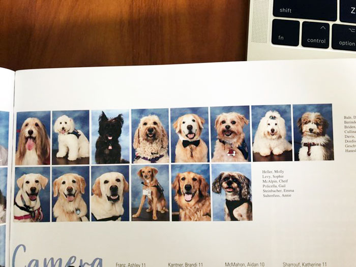 This School Dedicated A Yearbook Page To The Parkland Shooting Survivors’ Therapy Dogs This School Dedicated A Yearbook Page To The Parkland Shooting Survivors’ Therapy Dogs