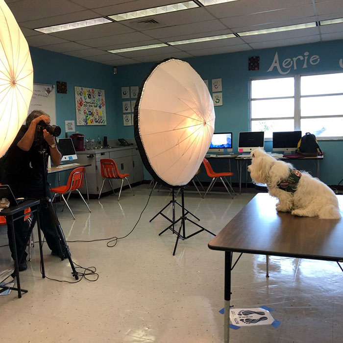 This School Dedicated A Yearbook Page To The Parkland Shooting Survivors’ Therapy Dogs This School Dedicated A Yearbook Page To The Parkland Shooting Survivors’ Therapy Dogs