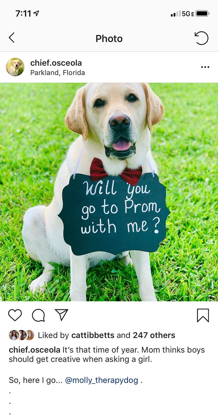 This School Dedicated A Yearbook Page To The Parkland Shooting Survivors’ Therapy Dogs This School Dedicated A Yearbook Page To The Parkland Shooting Survivors’ Therapy Dogs