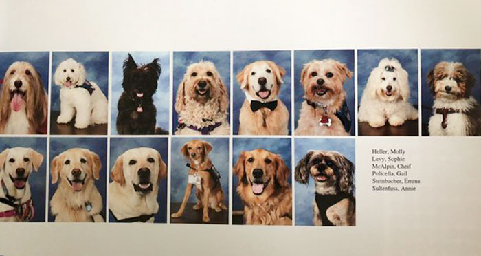 This School Dedicated A Yearbook Page To The Parkland Shooting Survivors’ Therapy Dogs
