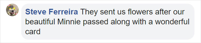 Man Asks Chewy For A Refund On Dog Food After His Dog Passes Away, Gets An Oil Painting With A Message Man Asks Chewy For A Refund On Dog Food After His Dog Passes Away, Gets An Oil Painting With A Message