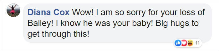 Man Asks Chewy For A Refund On Dog Food After His Dog Passes Away, Gets An Oil Painting With A Message