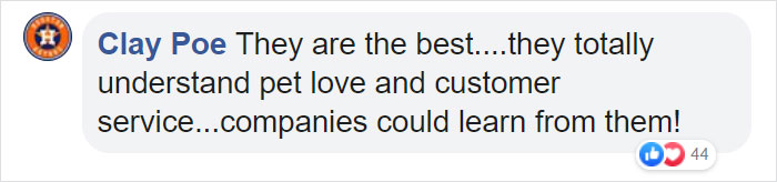 Man Asks Chewy For A Refund On Dog Food After His Dog Passes Away, Gets An Oil Painting With A Message Man Asks Chewy For A Refund On Dog Food After His Dog Passes Away, Gets An Oil Painting With A Message