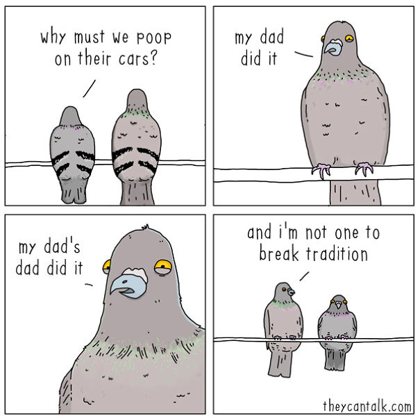 If Birds Could Talk, Here's What They Might Be Saying