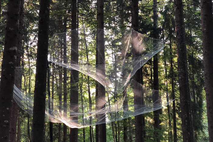 Rainwater 'Chandelier' Installation Can Collect Up To 800 Pounds Of Water