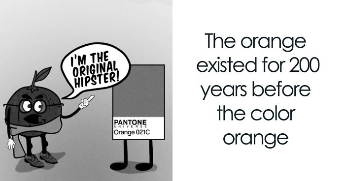 Here Are 29 Ridiculous Science Facts That We Illustrated