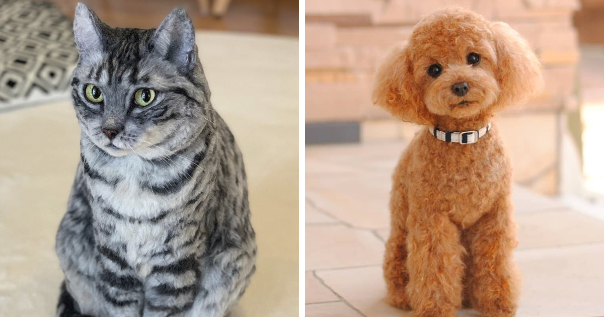 25 Wool Animals That Will Make You Look Twice