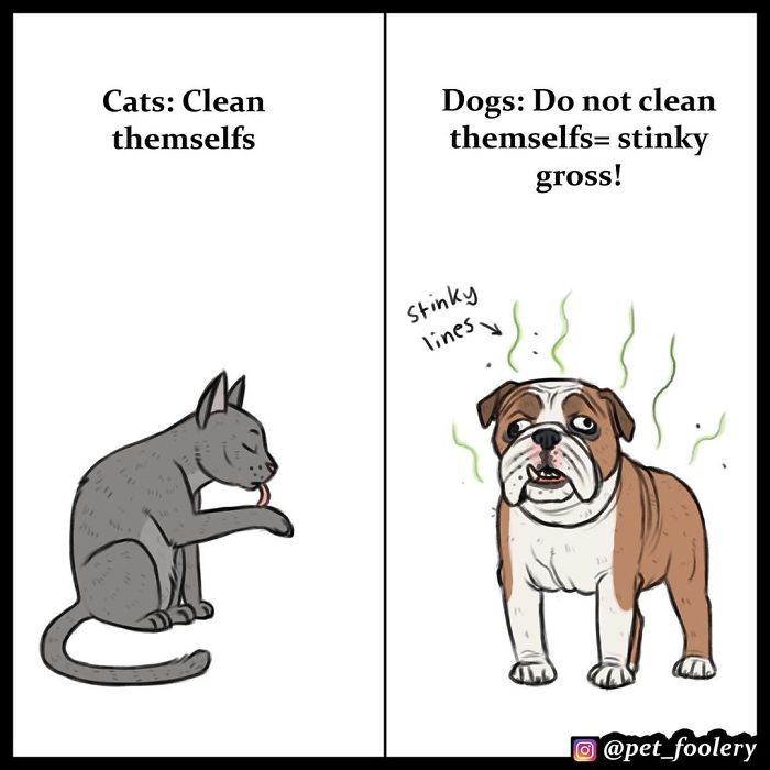 4 Hilarious Comics Explaining Why Cats Are Better Than Dogs
