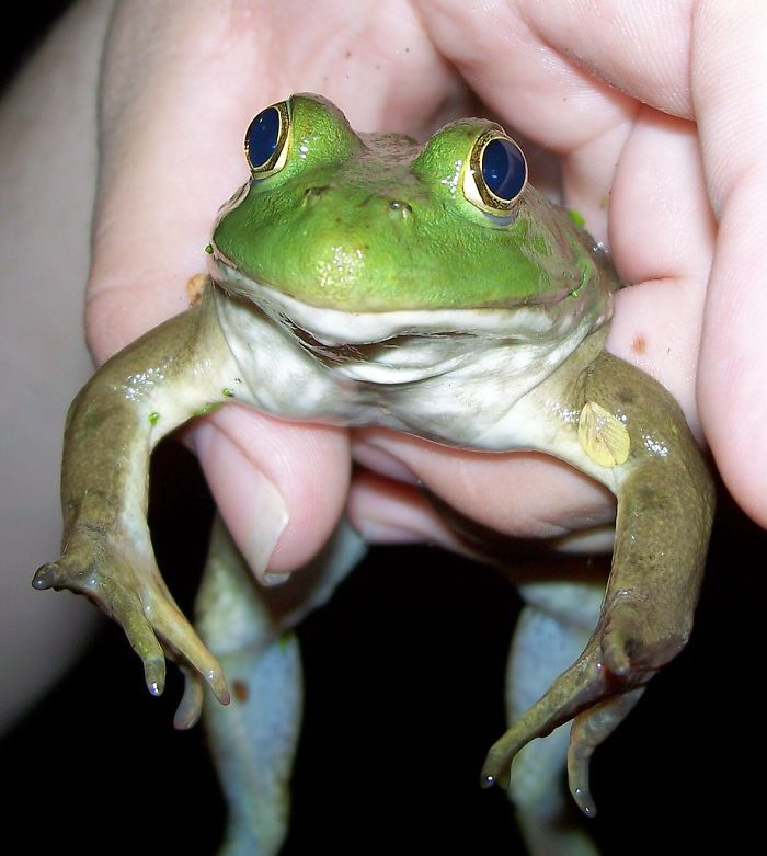 Scientists Reveal How They Use Academic Language To Mask Their Mess Ups And It&rsquo;s Hilarious