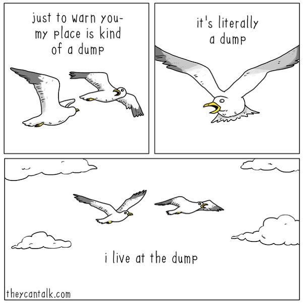 If Birds Could Talk, Here's What They Might Be Saying