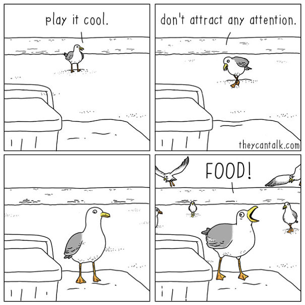 If Birds Could Talk, Here's What They Might Be Saying