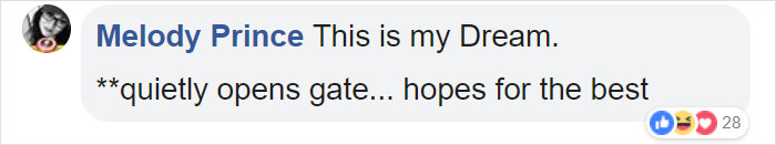 200 Sheep Saw This Guy's Yard With Its Fence Open And Decided To Give Him A Visit - Now They Refuse To Leave