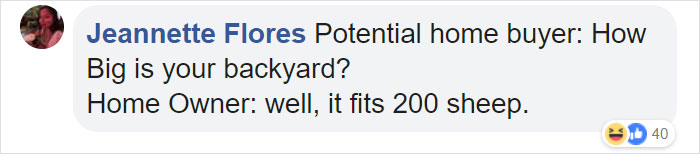 200 Sheep Saw This Guy's Yard With Its Fence Open And Decided To Give Him A Visit - Now They Refuse To Leave