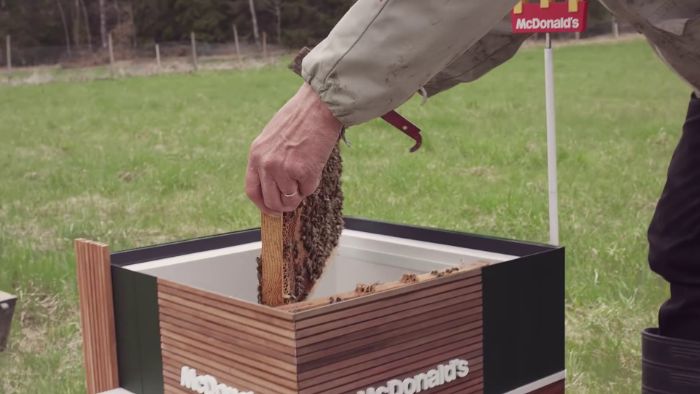 McDonalds Opens A Tiny Restaurant For Bees McDonalds Opens A Tiny Restaurant For Bees