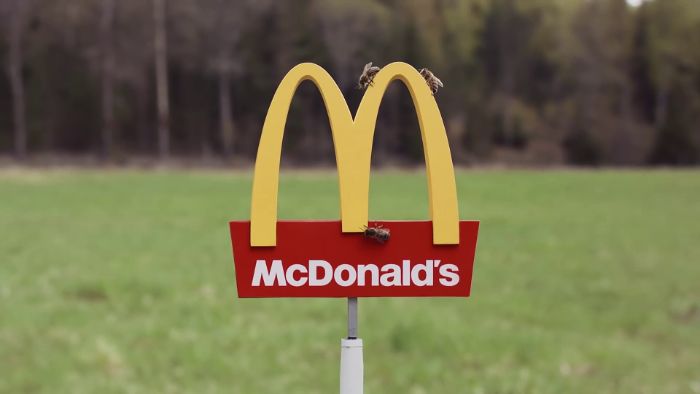 McDonalds Opens A Tiny Restaurant For Bees McDonalds Opens A Tiny Restaurant For Bees