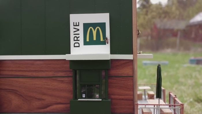 McDonalds Opens A Tiny Restaurant For Bees McDonalds Opens A Tiny Restaurant For Bees