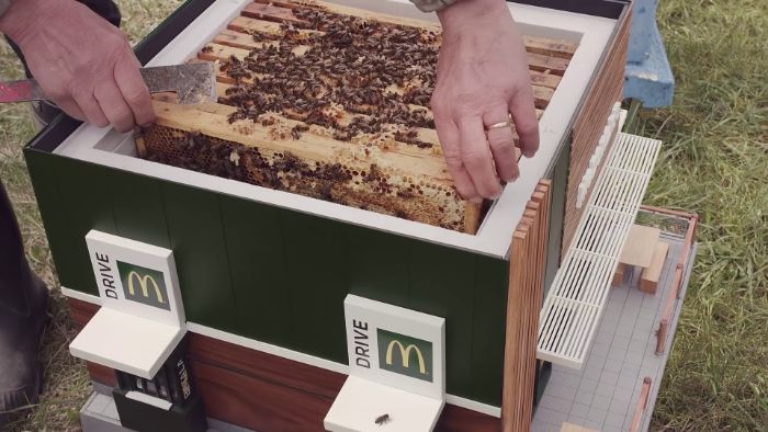 McDonalds Opens A Tiny Restaurant For Bees McDonalds Opens A Tiny Restaurant For Bees