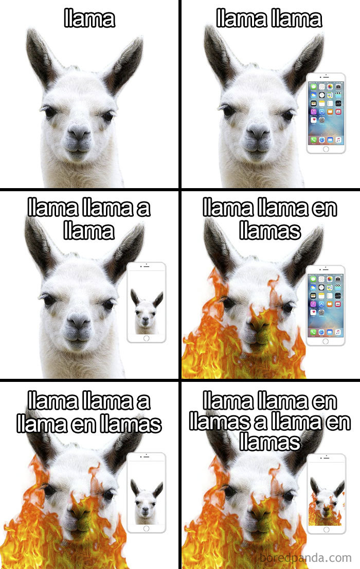Llama meme humorously illustrates confusing Spanish language nuances with the word "llama."