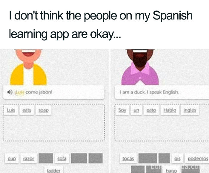 Funny meme about Spanish language app with quirky translation prompts.