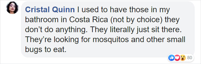 Someone Designed A Bathroom To House Giant Spiders And Its An Arachnophobia Nightmare