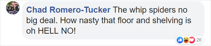 Someone Designed A Bathroom To House Giant Spiders And Its An Arachnophobia Nightmare