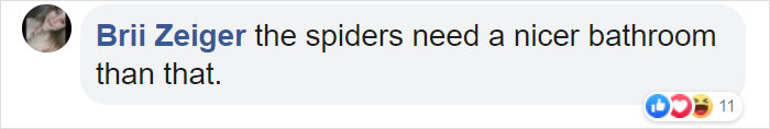 Someone Designed A Bathroom To House Giant Spiders And Its An Arachnophobia Nightmare Someone Designed A Bathroom To House Giant Spiders And Its An Arachnophobia Nightmare