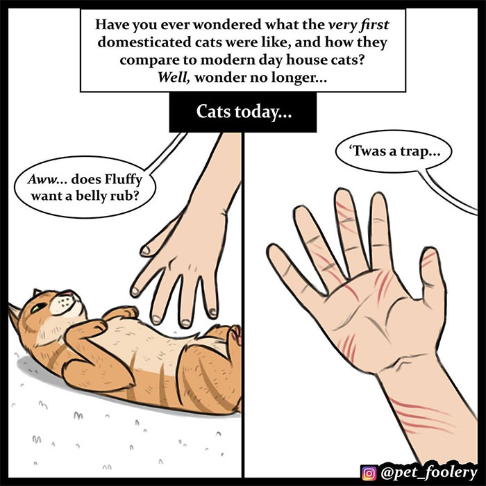 The Differences Between Prehistoric And Today's Cats Explained In A Hilarious Comic The Differences Between Prehistoric And Today's Cats Explained In A Hilarious Comic