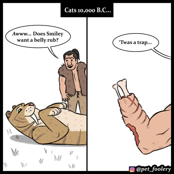 The Differences Between Prehistoric And Today's Cats Explained In A Hilarious Comic