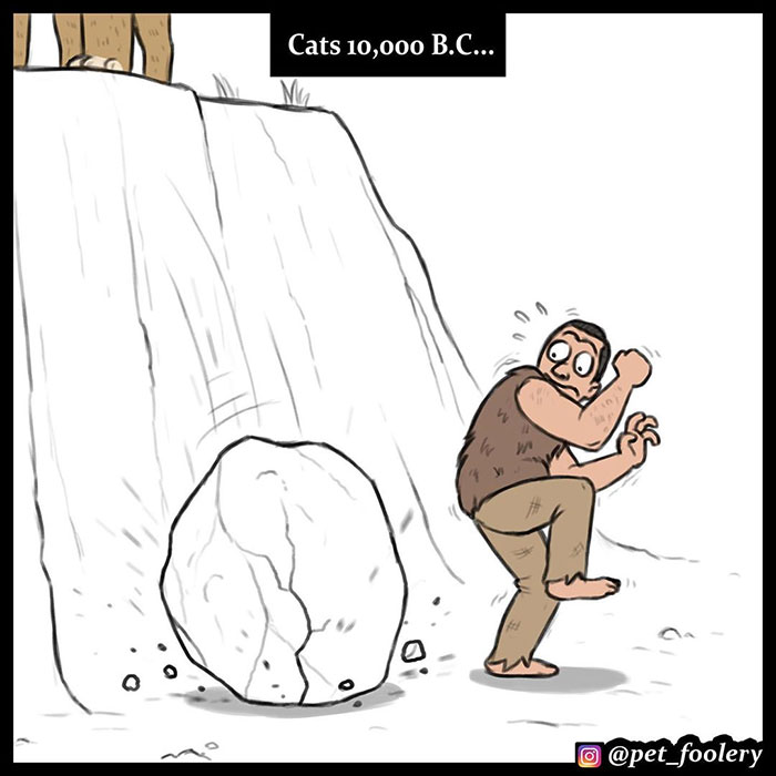 The Differences Between Prehistoric And Today's Cats Explained In A Hilarious Comic The Differences Between Prehistoric And Today's Cats Explained In A Hilarious Comic