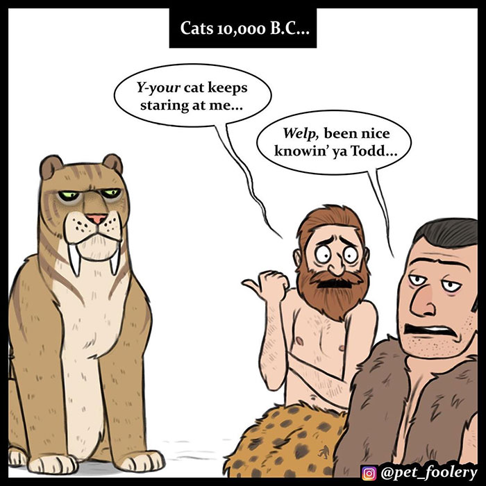 The Differences Between Prehistoric And Today's Cats Explained In A Hilarious Comic The Differences Between Prehistoric And Today's Cats Explained In A Hilarious Comic