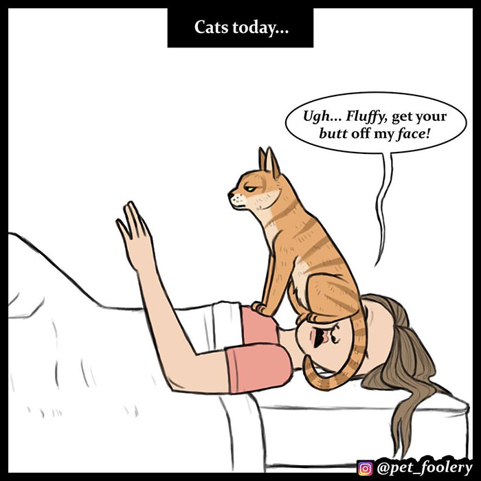 The Differences Between Prehistoric And Today's Cats Explained In A Hilarious Comic The Differences Between Prehistoric And Today's Cats Explained In A Hilarious Comic