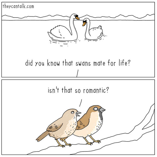 If Birds Could Talk, Here's What They Might Be Saying