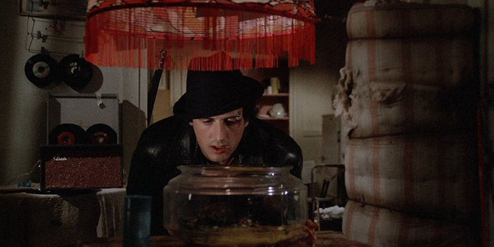 The Pair Of Turtles That Featured In 'Rocky' Are Still Alive And Kicking And Here Is Stallone With Them 45 Years After The Pair Of Turtles That Featured In 'Rocky' Are Still Alive And Kicking And Here Is Stallone With Them 45 Years After