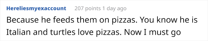 The Pair Of Turtles That Featured In 'Rocky' Are Still Alive And Kicking And Here Is Stallone With Them 45 Years After The Pair Of Turtles That Featured In 'Rocky' Are Still Alive And Kicking And Here Is Stallone With Them 45 Years After