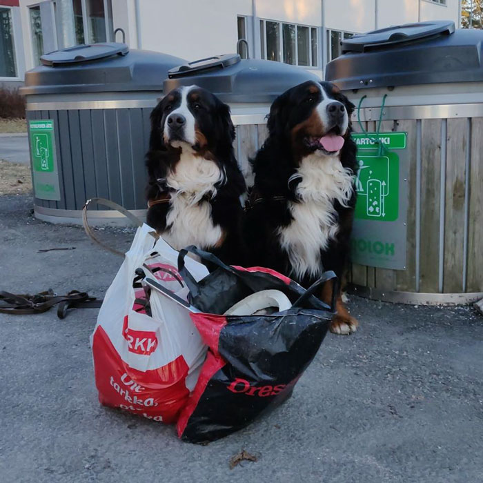 13-Years-Old Girl Gets Juice Thrown At Her Face, Punched And Even Shown A Knife By Schoolmates Only For Picking Up Litter 13-Years-Old Girl Gets Juice Thrown At Her Face, Punched And Even Shown A Knife By Schoolmates Only For Picking Up Litter