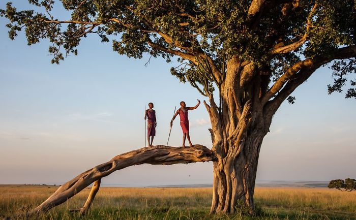 Caught In The Act, Michelle Theall, Nature