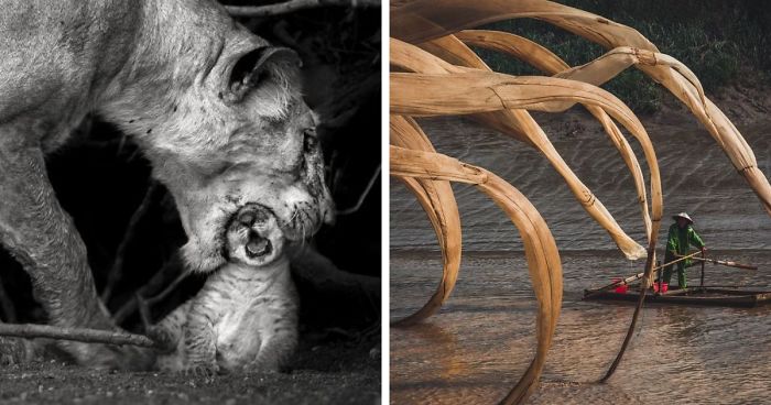 30 Breathtaking Photos From The 2019 National Geographic Travel Photo Contest Finalists