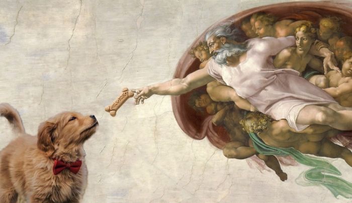 This Beautiful Puppy And Her Butterfly Friend Inspired A Photoshop Battle And You Could Add Your Own Picture