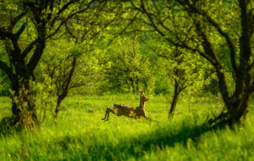 I Photographed The Romanian Countryside