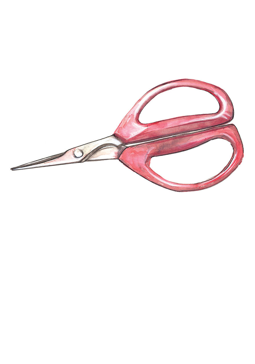 Joyce Chen Scissors