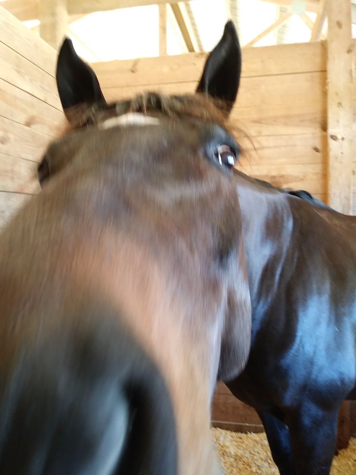 Hello! Nice To Meet You.