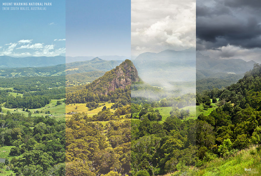 Mount Warning National Park (New South Wales, Australia)