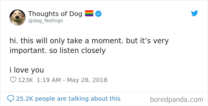 Dog Thoughts