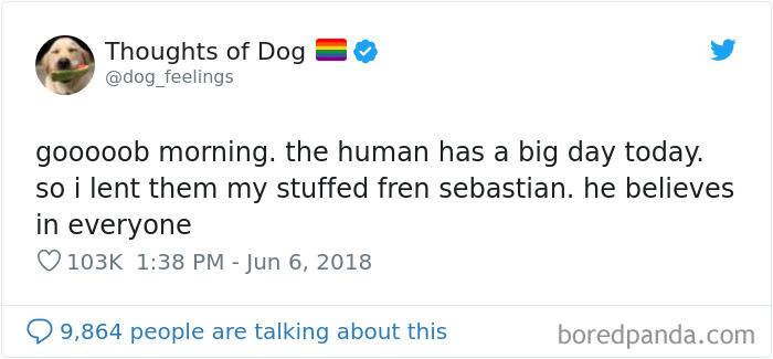 Dog Thoughts