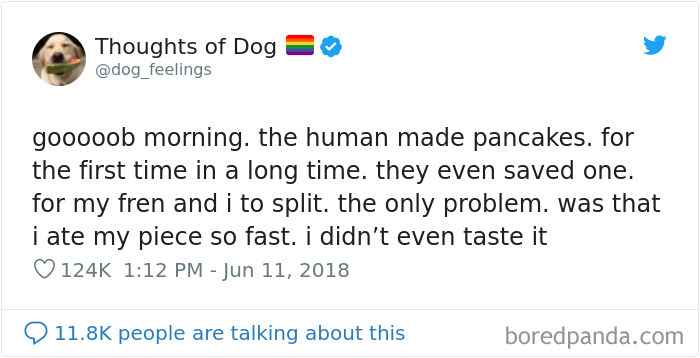Dog Thoughts