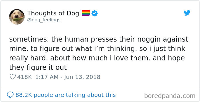 Dog Thoughts